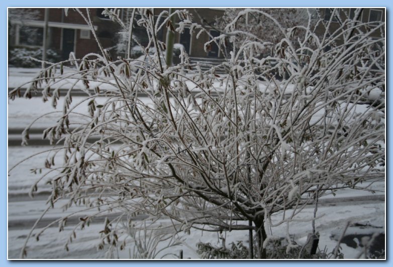 Arnhem Snow 039